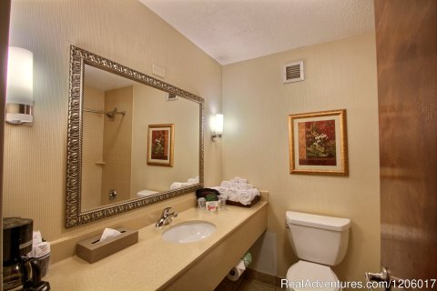 Guest Room Bathroom