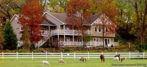 Country Estate for a Relaxing Getaway