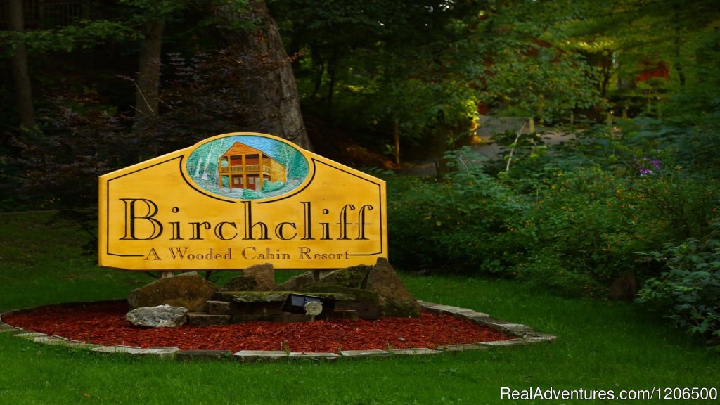 Welcome to Birchcliff Resort | Wooded Log Cabins at Birchcliff Resort | Image #8/8 | 