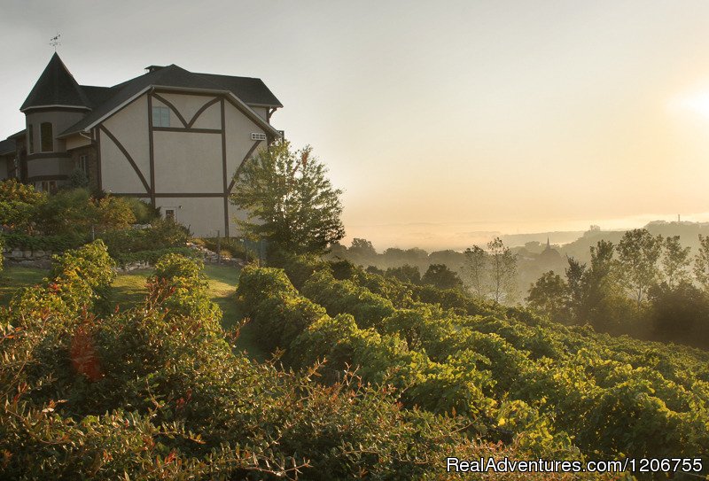 Vineyard Inn | Hermann Hill Vineyard & Inn | Adrian, Missouri  | Bed & Breakfasts | Image #1/13 | 