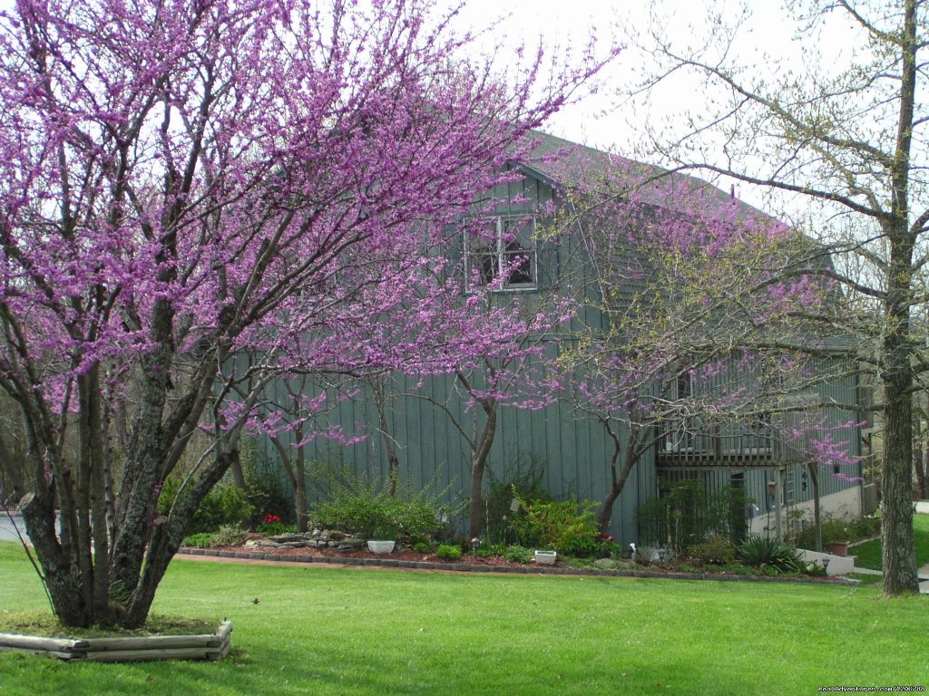 Front View of Bed and Breakfast | Luxury Bed and Breakfast Suites on Table Rock Lake | Branson, Missouri  | Bed & Breakfasts | Image #1/7 | 