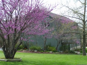 Luxury Bed and Breakfast Suites on Table Rock Lake