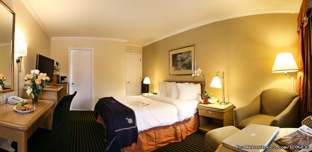 Deluxe Queen Room | Millwood Inn & Suites | Image #2/6 | 