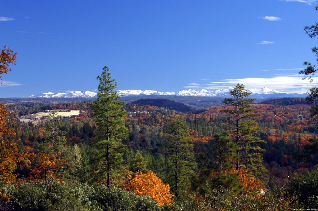 Experience El Dorado in the Fall | El Dorado County Visitors' Authority | Placerville, California  | Tourism Center | Image #1/12 | 