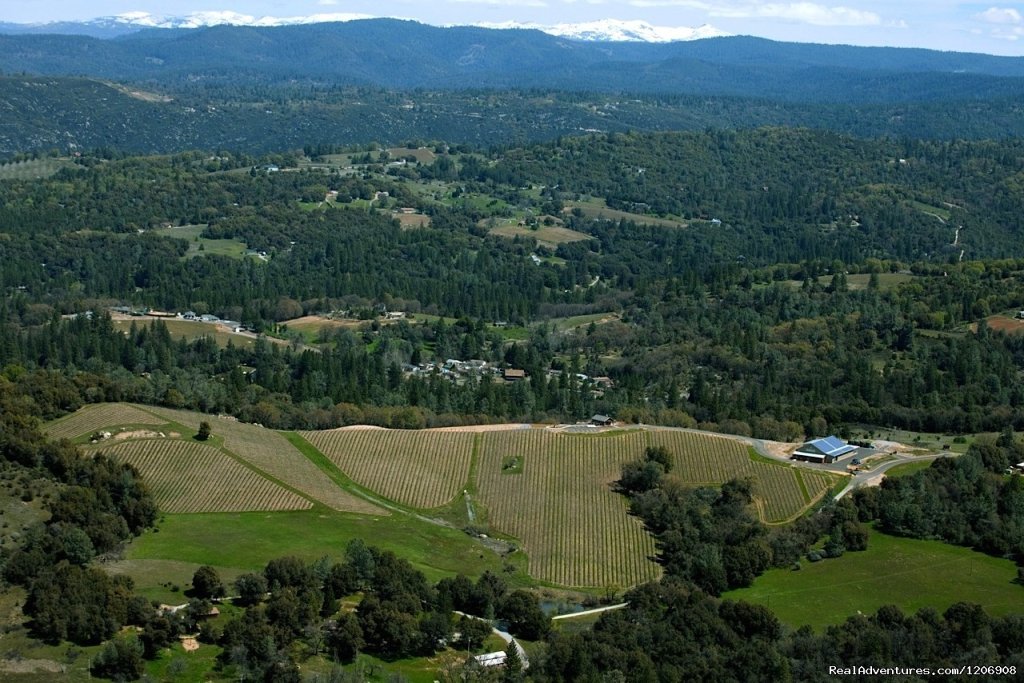 El Dorado Wine Country | El Dorado County Visitors' Authority | Image #4/12 | 