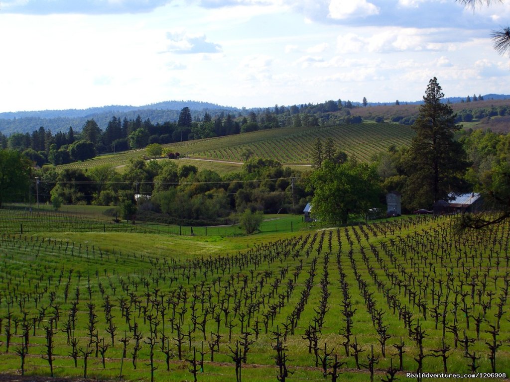 El Dorado Wine Country | El Dorado County Visitors' Authority | Image #6/12 | 