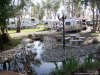 Vineyard RV Park | Vacaville, California