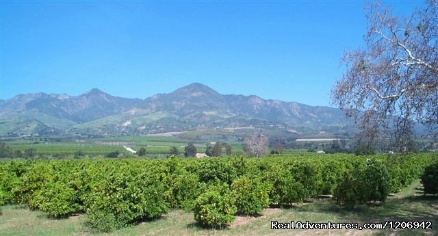 View of Heritage Valley | Heritage Valley Tourism Bureau | Fillmore, California  | Tourism Center | Image #1/11 | 