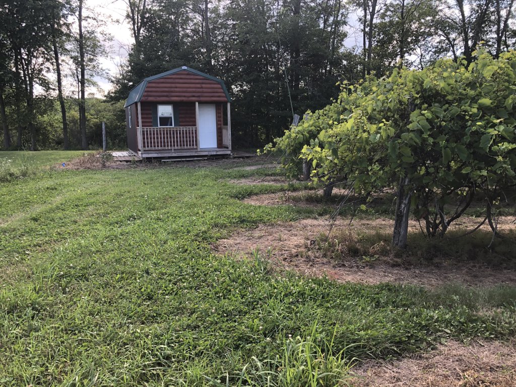 Trout Springs Winery - Glamping Site Available | Greenleaf, Wisconsin  | Cooking Classes & Wine Tasting | Image #1/3 | 