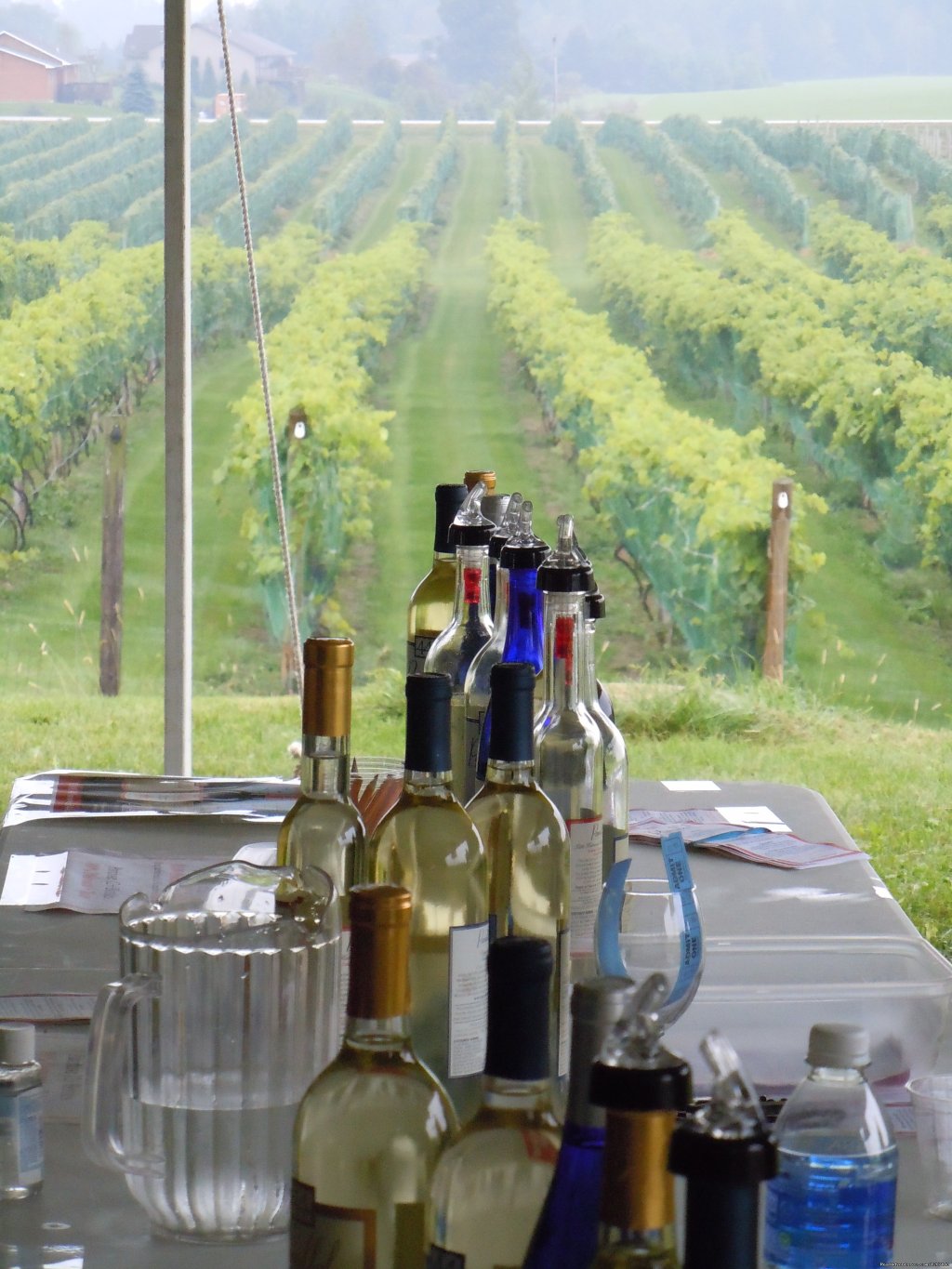 Wine Tasting Table at our Fall Harvest Festival | Parallel 44 Vineyard & Winery | Image #9/14 | 