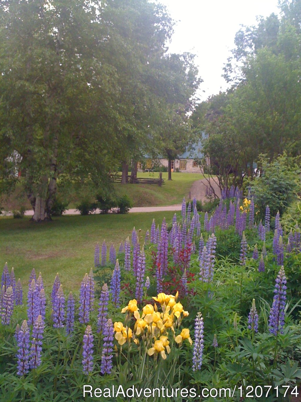 In the summertime. | Large Country Homes rental near Quebec City Canada | Image #8/13 | 