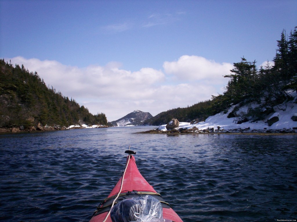 Winter kayaking | Burgeo Haven Inn on the Sea Bed & Breakfast | Image #10/16 | 