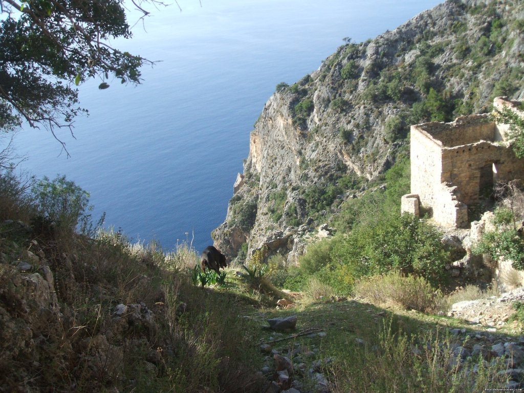 Sea view from Afkule monastry | Hiking in Kayakoy, Turkey: the Spirit of Lycia | Image #16/24 | 