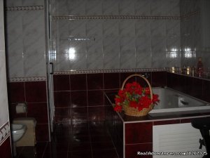 La Orquidea | Ciudad de la Habana, Cuba | Vacation Rentals