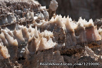 Salt Crystal from denakil depression | Ethiopia Adventures tour to Dallol and Ert-Ale | Image #7/26 | 