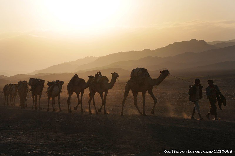 Ethiopia Adventures tour to Dallol and Ert-Ale | Image #14/26 | 