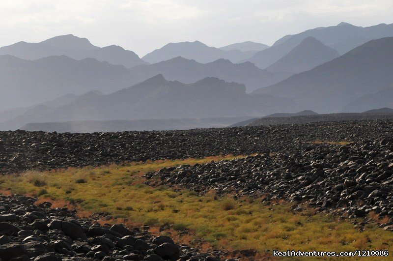 Ethiopia Adventures tour to Dallol and Ert-Ale | Image #13/26 | 