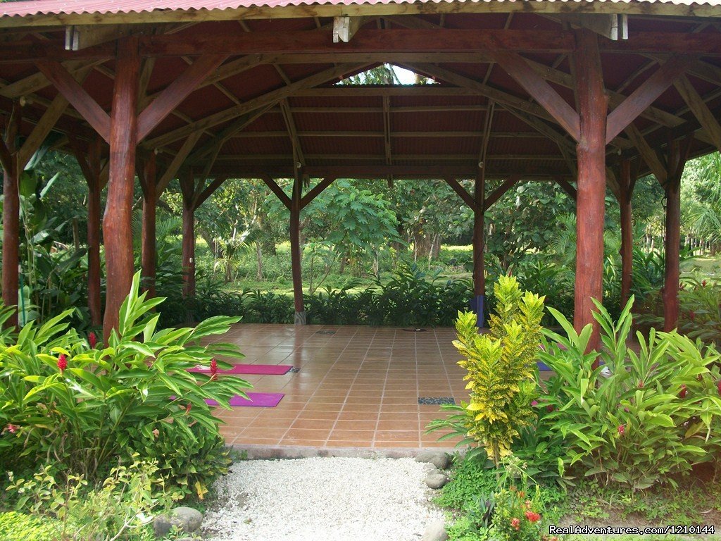 Yoga Pavilion | Gentle Earth Juice fasting & health food retreats | Image #5/17 | 