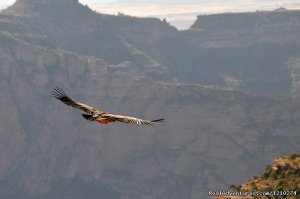 Trekking in Ethiopia/Semien Mountain trekking