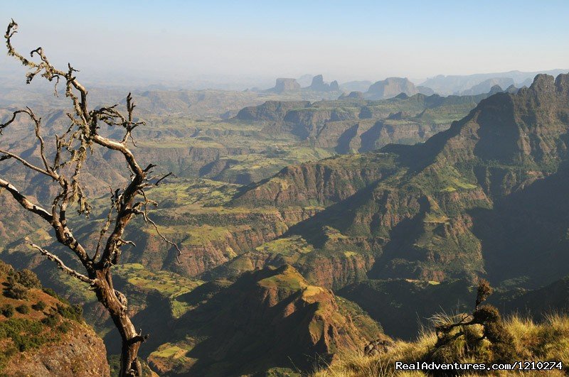 semien Mountain sceneries | Trekking in Ethiopia/Semien Mountain trekking | Image #5/8 | 