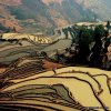 South of Yunnan to North Vietnam 11 days overland  | Dali, China