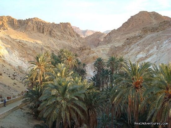 MOUNTAIN OASIS | Tunisia Tour | Image #8/8 | 