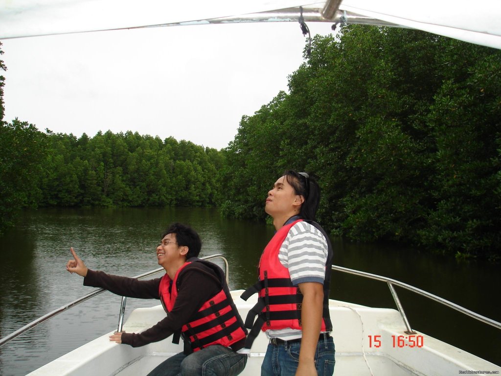 Mangrove River Cruise | Mengkabong Water Village Mangrove River Cruise | Image #3/8 | 