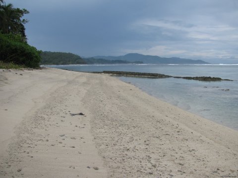 Manga beach