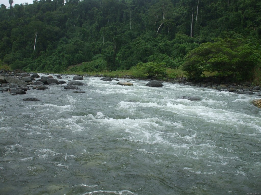 Tina river, Central Guadalcanal | Villagestay & Trekking In Solomon Islands. | Image #5/14 | 