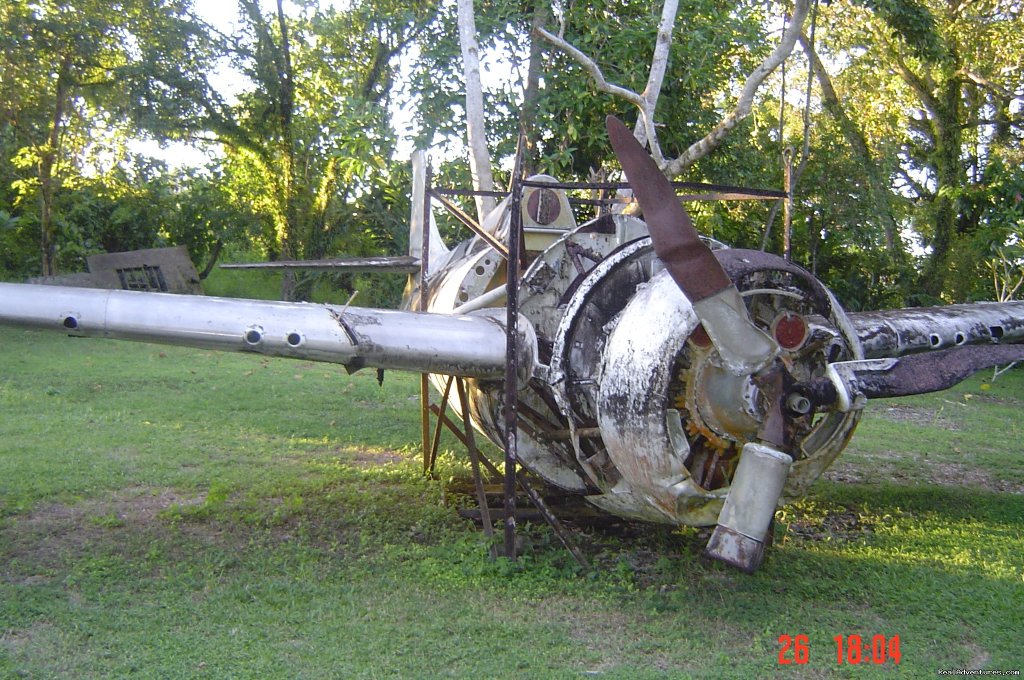 WWII Wild Cat, Vilu WWII Museum, Guadalcanal Is | Villagestay & Trekking In Solomon Islands. | Image #13/14 | 