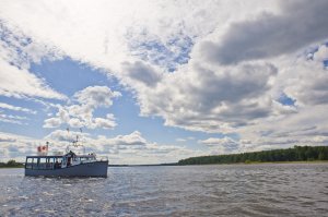 Captain Dan Boat Tours