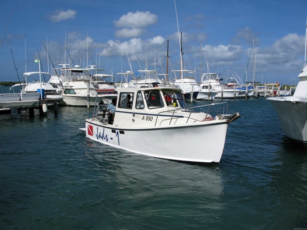 26' ft vessel max 4 guests | Aruba personalized diving adventures | San Nicolas, Aruba | Scuba Diving & Snorkeling | Image #1/1 | 