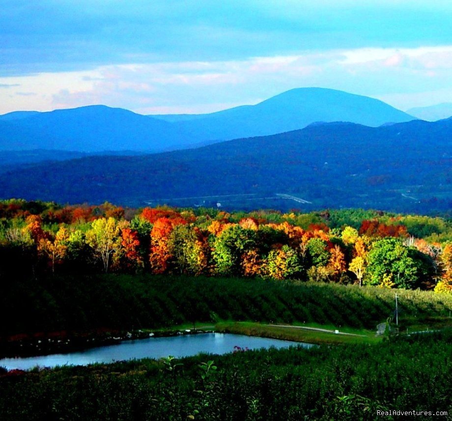 Beautiful Bennington Vermont | Eddington House Inn | Image #5/5 | 