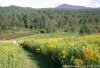 Wonderful Views at Marshfield Inn & Motel | Marshfield, Vermont