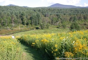 Wonderful Views at Marshfield Inn & Motel