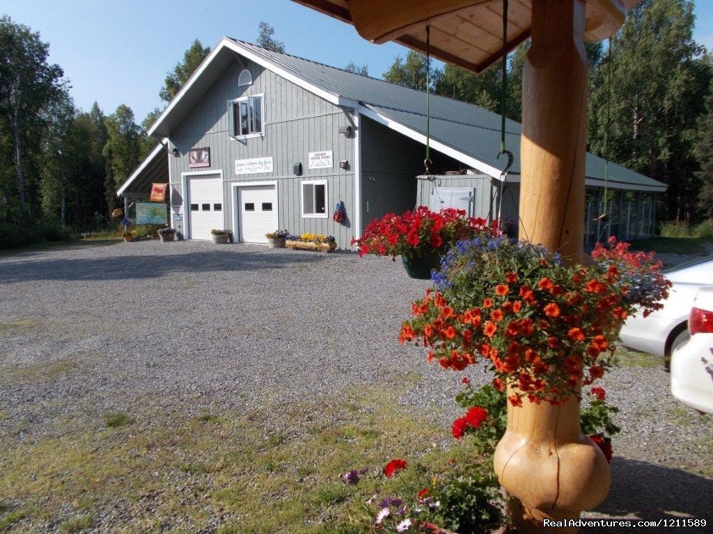 Dream a Dream Iditarod Farm & Dream Inn B&B | Image #6/8 | 