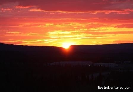 Denali ATV Adventures | Image #8/13 | 