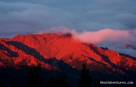 Denali ATV Adventures | Image #10/13 | 