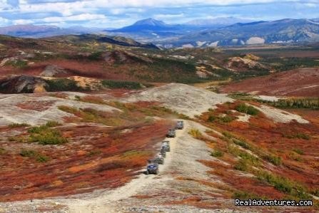 Denali ATV Adventures | Image #7/13 | 