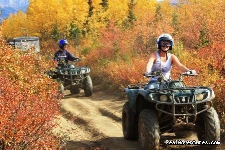 Denali ATV Adventures | Image #3/13 | 