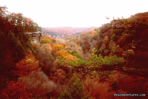 Cabin and Vacation Homes-Scenic Hocking Hills Ohio | Image #6/9 | 