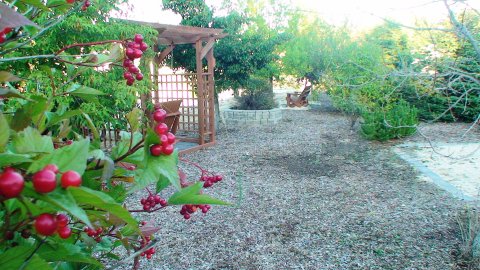 Country Charm Resort - Beautiful seating in the trees.