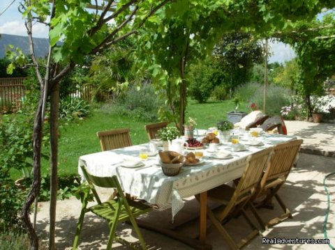 Breakfast outside under the Vines