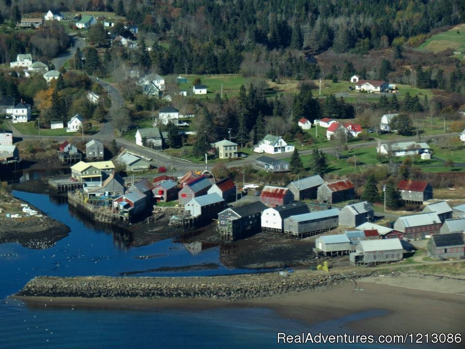 Seal Cove Beach Smokeshed Cottages | Image #2/6 | 