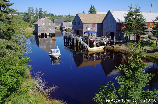 Seal Cove Beach Smokeshed Cottages | Image #3/6 | 