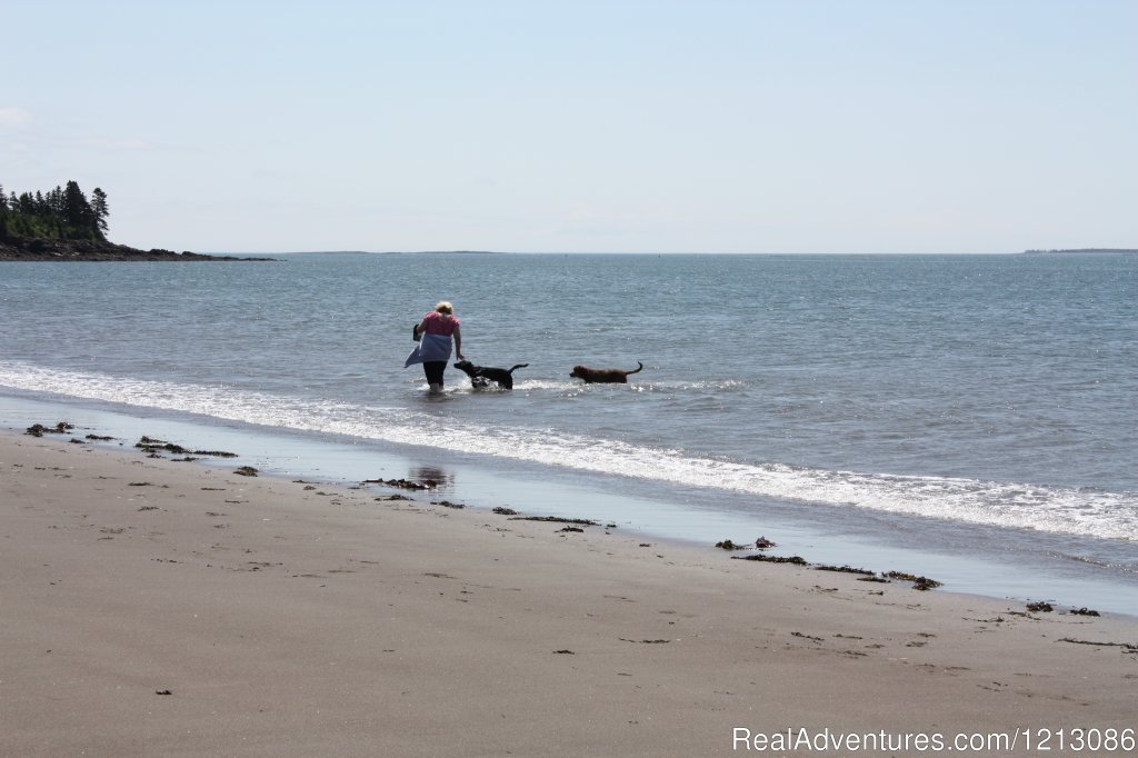 Beach Picture | Seal Cove Beach Smokeshed Cottages | Image #4/6 | 