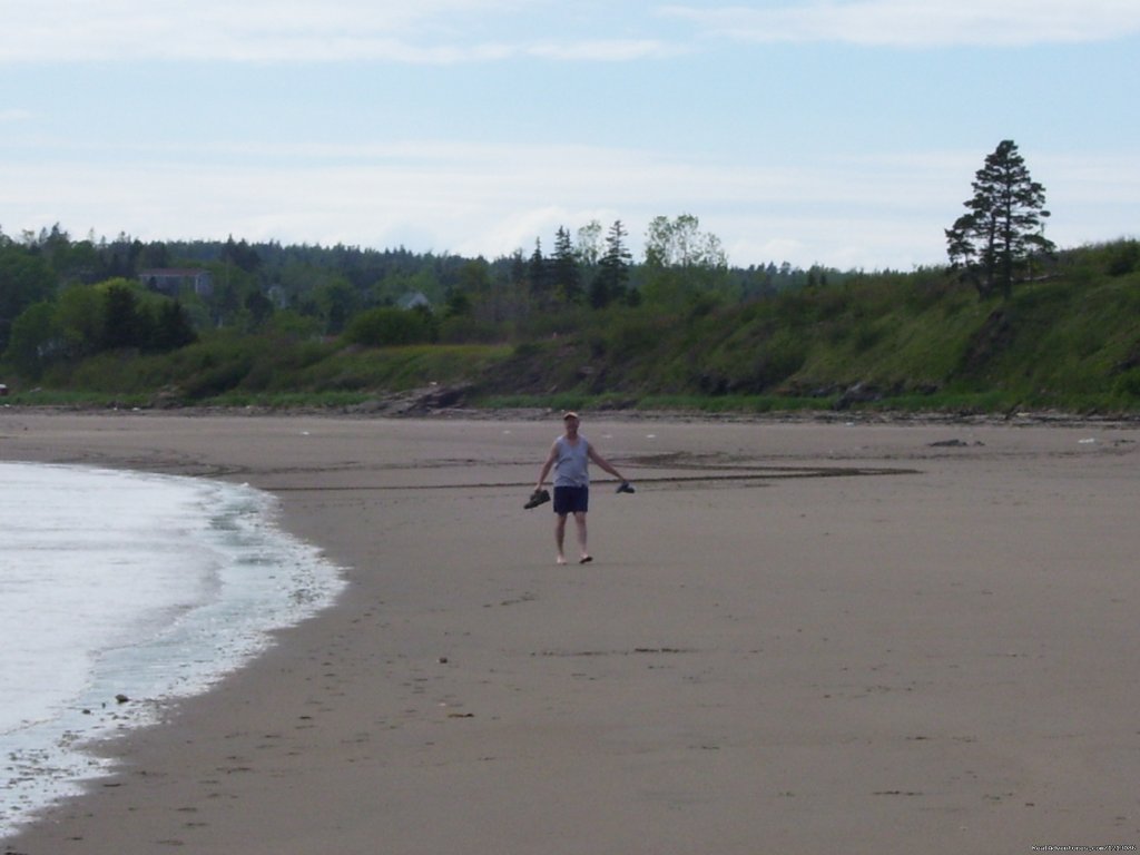 Beach Picture | Seal Cove Beach Smokeshed Cottages | Image #5/6 | 