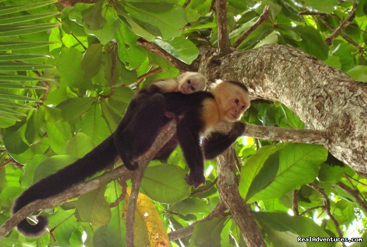 Mother and Son | Atv Adventure Tours - Jaco - Los Suenos | Image #8/9 | 