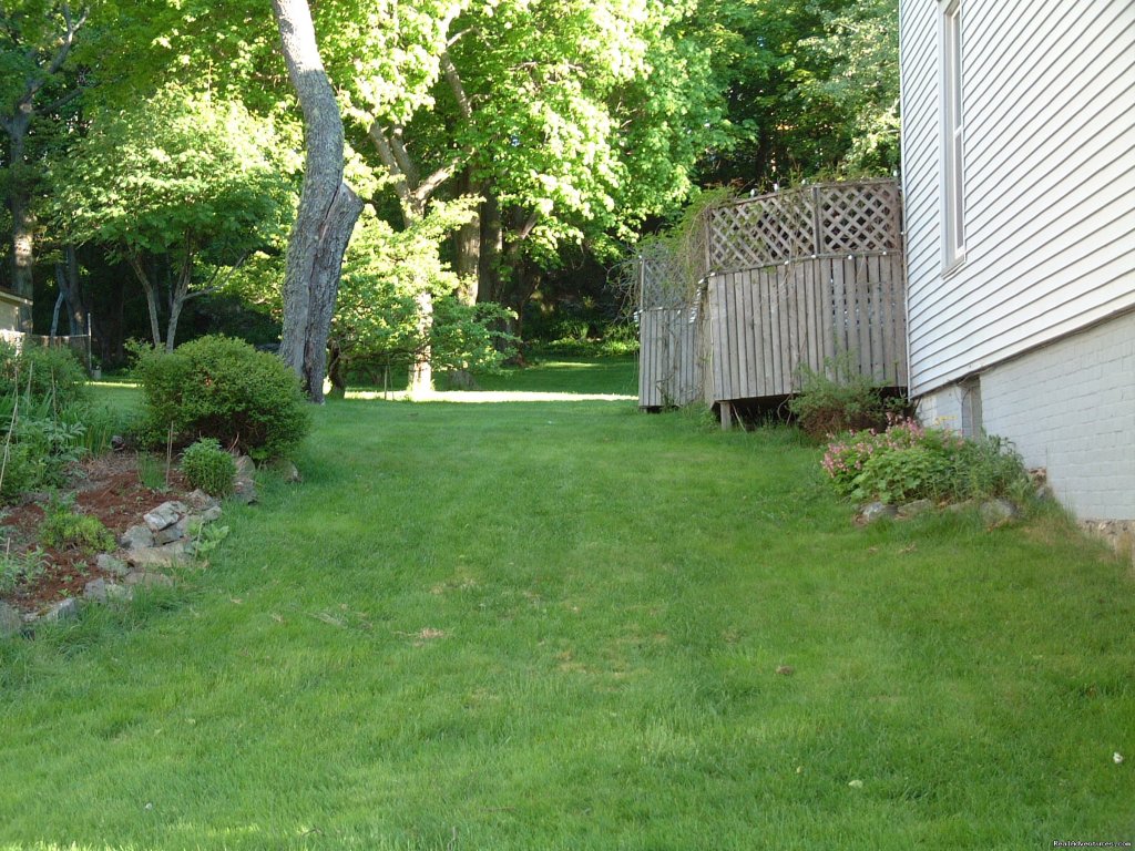 Garden View | Seely Street B&B | Image #2/3 | 