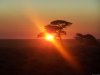 Bluecrane Safaris Namibia | Windhoek, Namibia